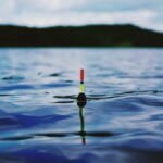 Fishing Tips For Beginner to Pro