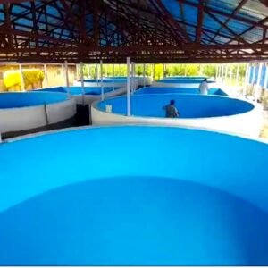 High-tech Recirculating Aquaculture System (RAS) tanks for sustainable fish farming.
