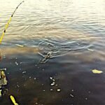 10 Pro Fishing Tips to Catch More Fish एक मछुआरा फिशिंग रॉड से नदी में मछली पकड़ते हुए