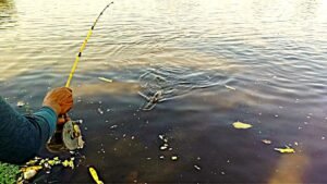 10 Pro Fishing Tips to Catch More Fish एक मछुआरा फिशिंग रॉड से नदी में मछली पकड़ते हुए