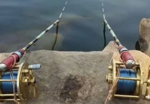 Two fishing rods set near water waiting for fish bite using fishing bait